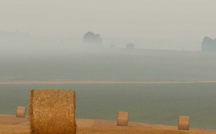 Dropshipping Success 2026