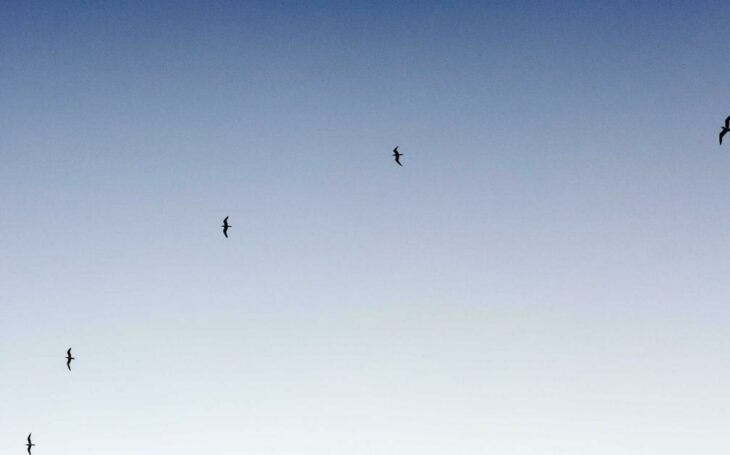 Dropshipping Europe Guide 2026