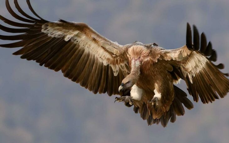 Almacén logístico de dropshipping en Europa del Este