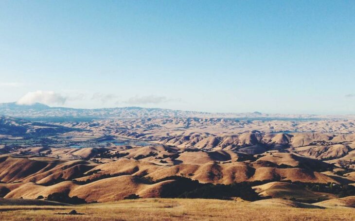 Trackify COD trends main