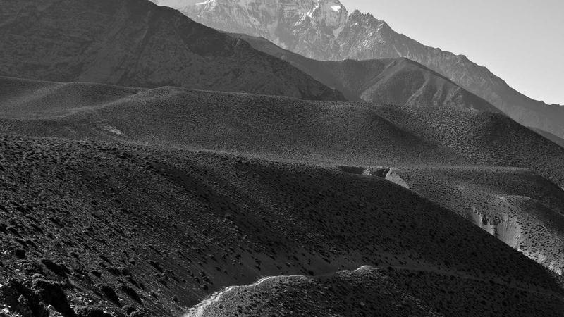 Logistik- und E-Commerce-Wachstum verfolgen