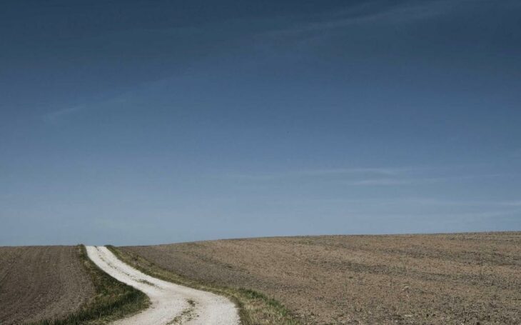 Trackify daily blog image